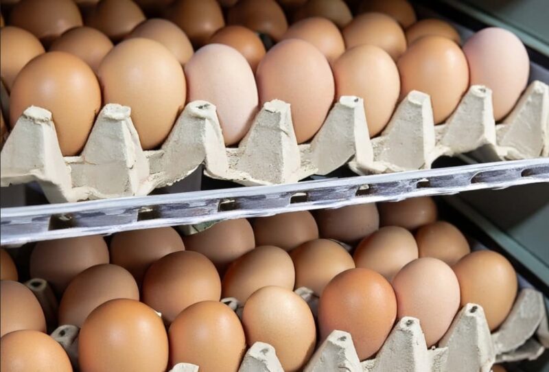 Screenshot-2025-04-01-at-11-41-30-486824915_1093517336154125_4869891789366172087_n-min eggs