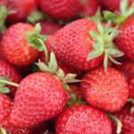 strawberries