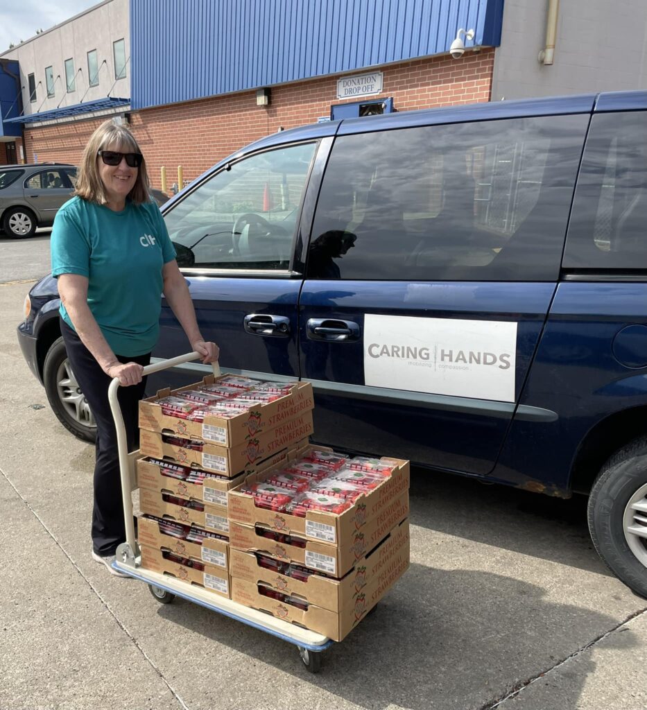 Person pushing flat of strawberries in front of a van